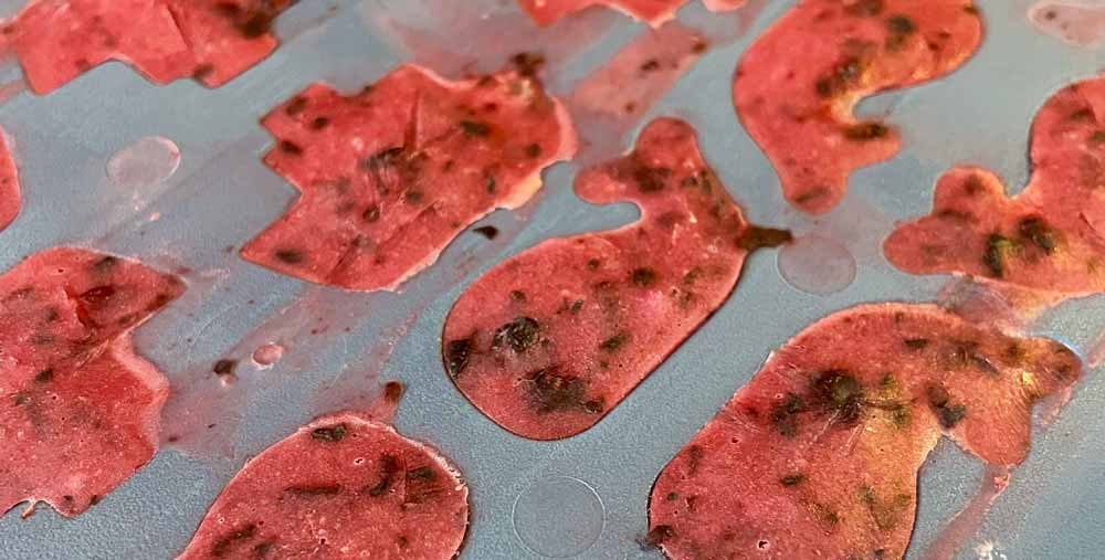 Functionele topping hond geitenyoghurt blauwe bessen