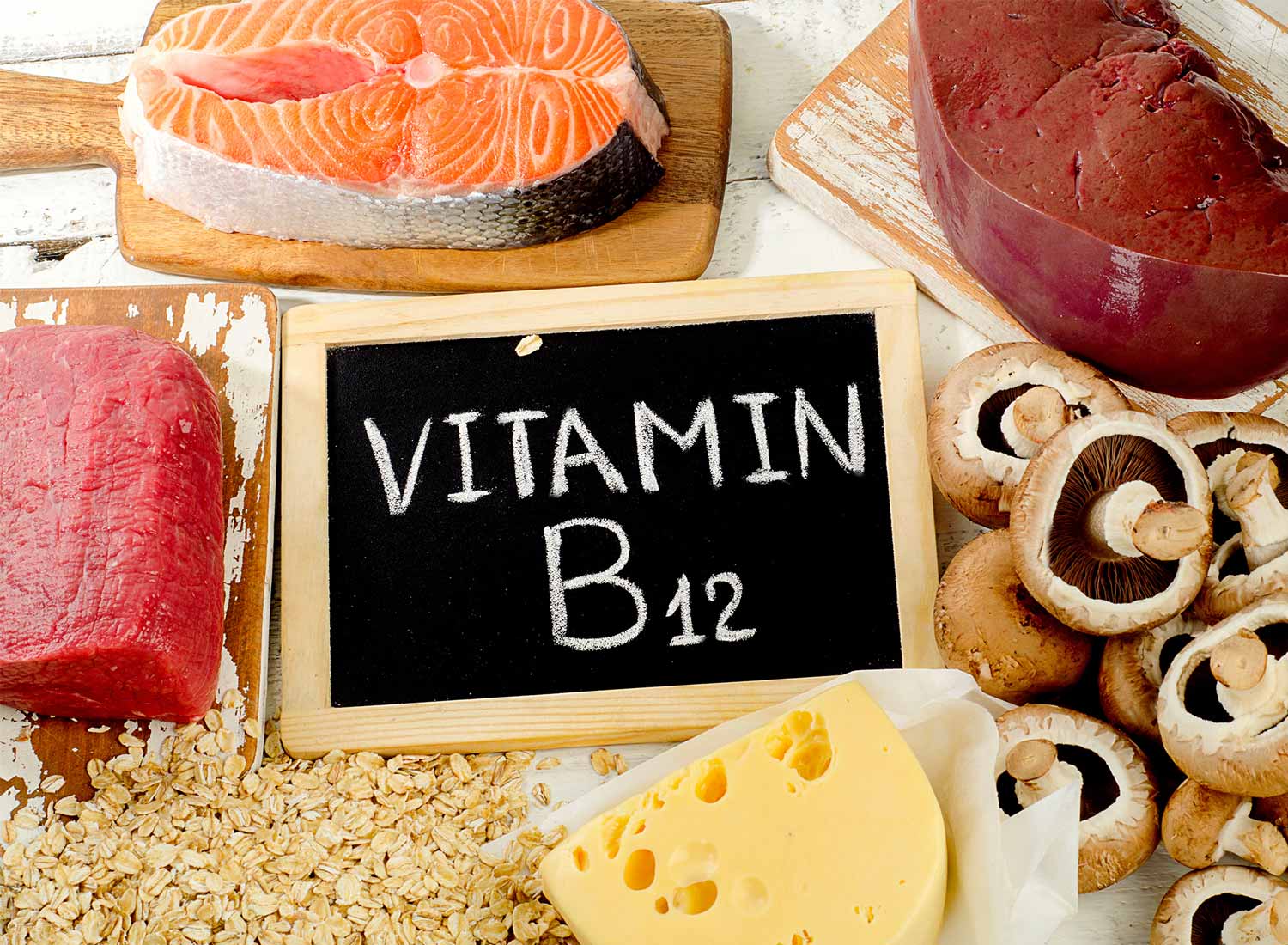 Vitamine B12 Gedrag Hond