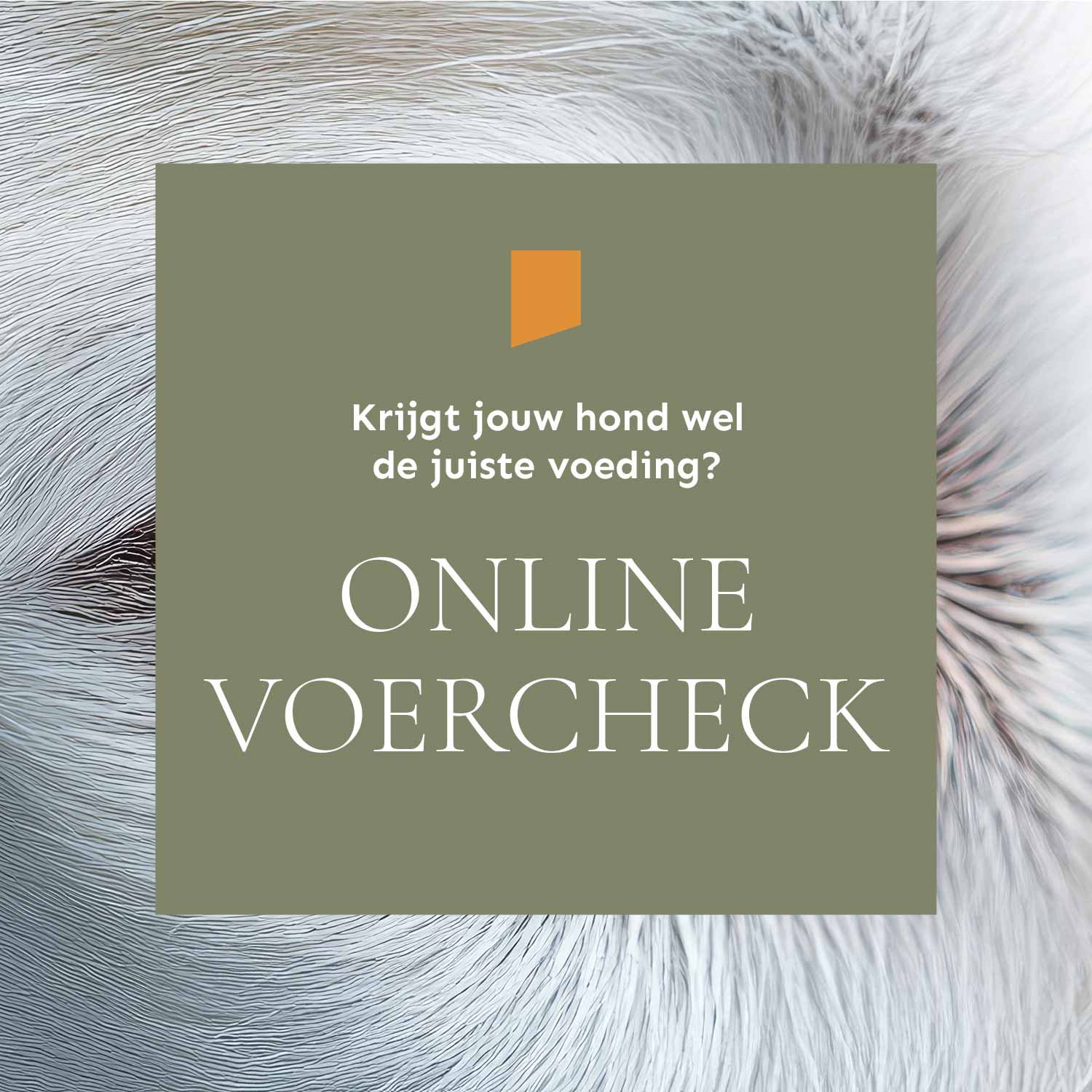 Online VoerCheck