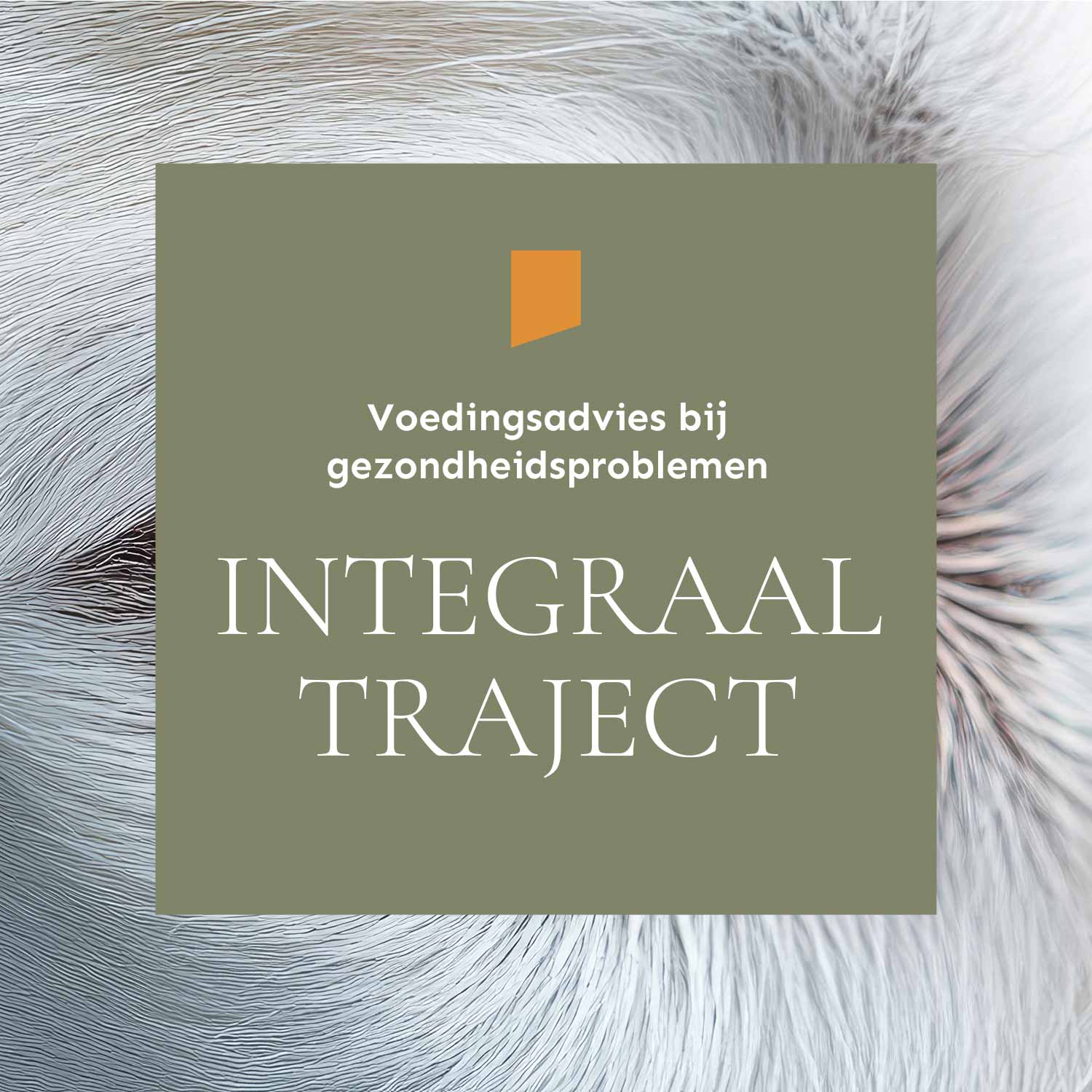 Voedingsadvies bij klachten - Integraal Traject