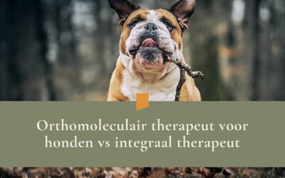 Orthomoleculair therapeut voor honden vs integraal therapeut – dit is het verschil